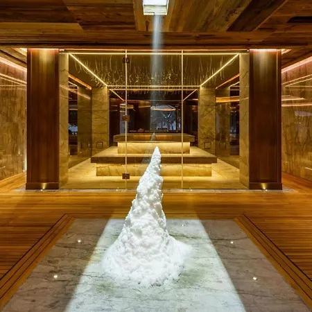 Apartment Ski In Ski Out Luxury Chalet *