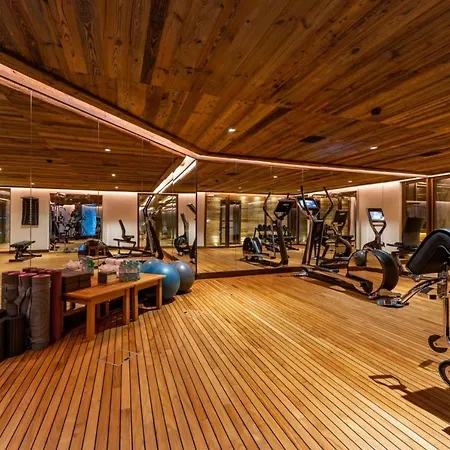 Ski In Ski Out Luxury Chalet Apartment
